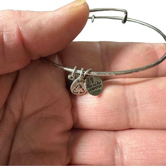 Alex and Ani Bangle Charm Bracelet Mickey Mouse Disney 2012 Bronze Tone - Picture 7 of 8